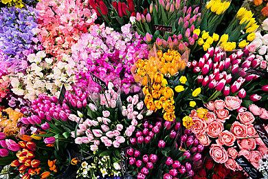 生存悬疑冒险游戏《Re:VER PROJECT TOKYO》Steam页面 支持中文